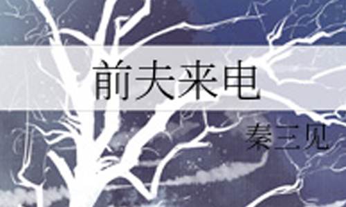 有声小说《前夫来电》广播剧音频合集[MP3/1.16GB]百度云盘下载