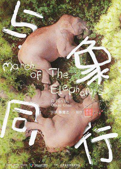 《与象同行》国语中字 迅雷云盘/夸克网盘下载