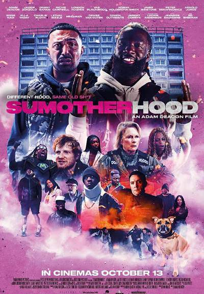 喜剧动作电影《笨贼兄弟闯伦敦》英语中字 迅雷云盘下载