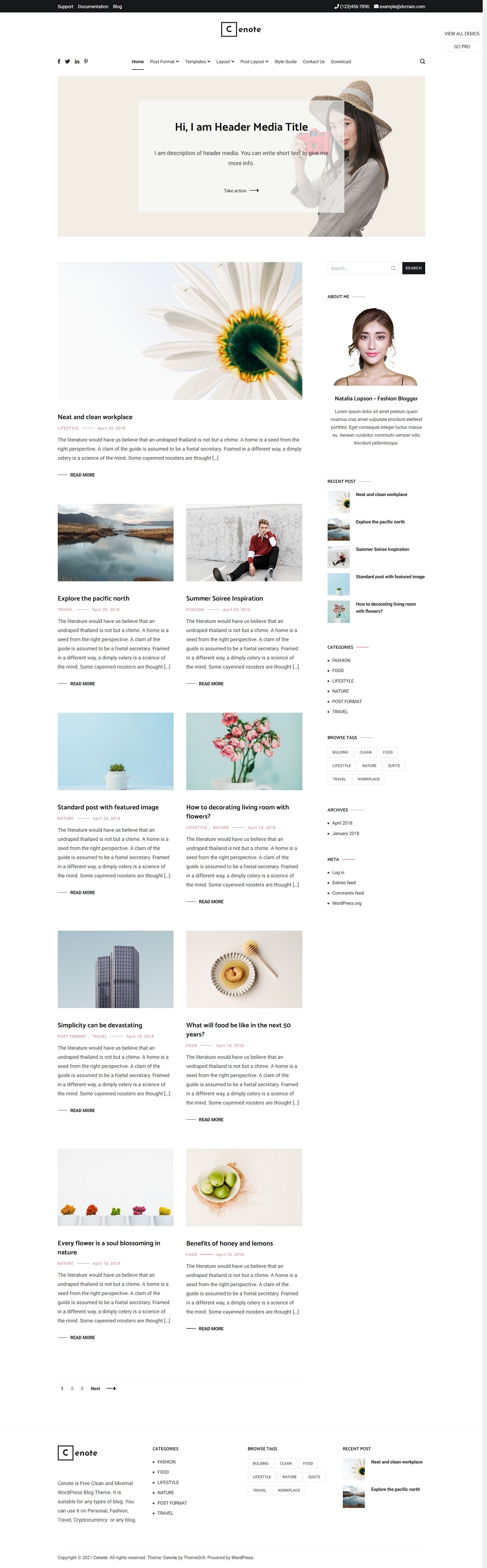 WordPress主题 Cenote v1.3.4 设计精美的干净博客主题