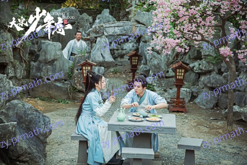 国产剧《大宋少年志》全42集国语中字合集[MP4/33GB]百度云下载