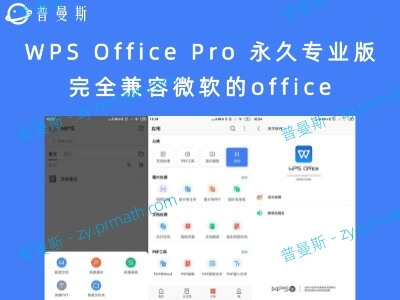 WPS Office Pro 永久专业版 完全兼容微软的office