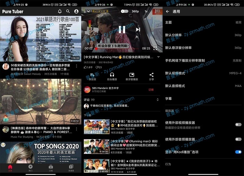 油管纯净版 Pure Tuber v3.6.0.102  第三方免费高级版