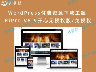【亲测转发版】WordPress付费资源下载主题 RiPro V8.9开心无授权版/免授权
