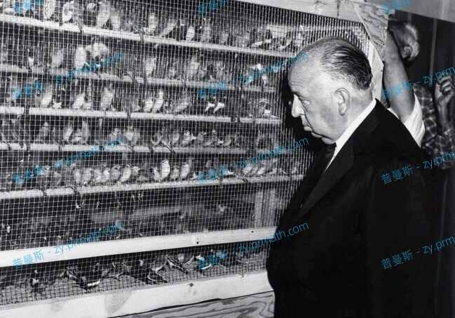 阿尔弗雷德·希区柯克导演20部电影合集 高清英语中字[MKV/MP4/51GB]百度云下载