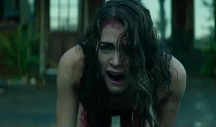 《尸骨无存》系列4部恐怖电影合集 高清英语中字[MKV/30GB]百度云下载