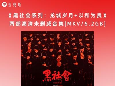 《黑社会系列：龙城岁月+以和为贵》两部高清未删减合集[MKV/6.2GB]百度云下载