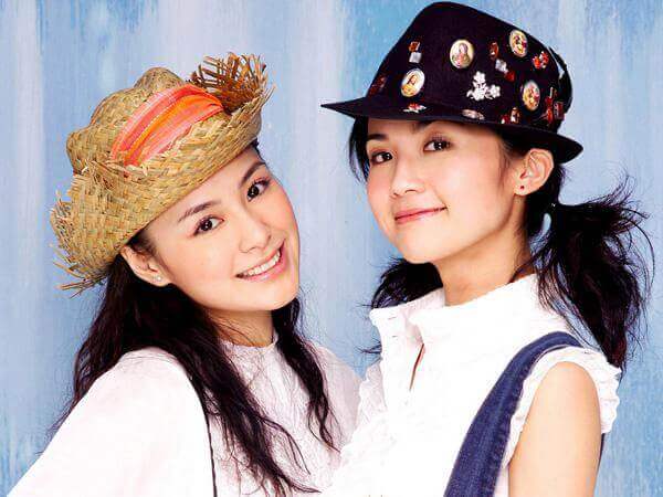 Twins组合(阿娇+阿Sa)14部电影合集+赠演唱会视频[MKV/RMVB/MP4/43GB]百度云下载