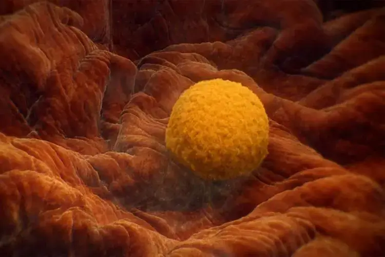 《人体奥秘》（英国广播公司(BBC)纪录片）全4集超清英语外挂中字[MKV/8.75GB]百度网盘下载