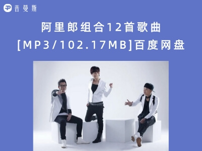 阿里郎组合12首歌曲[MP3/102.17MB]百度网盘下载