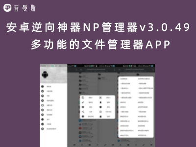 安卓逆向神器NP管理器v3.0.49 多功能的文件管理器APP