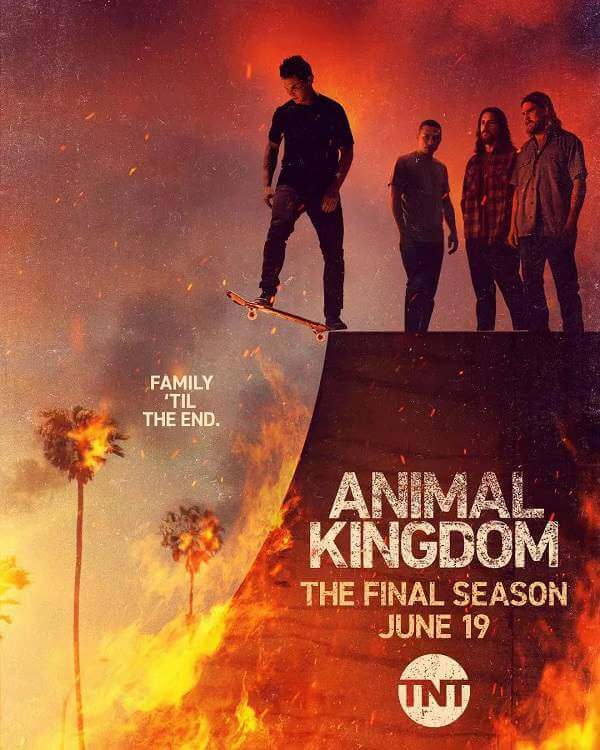 美剧《野兽家族/Animal Kingdom》全六季75集英语中字合集[MP4/49.35GB]阿里云网盘下载