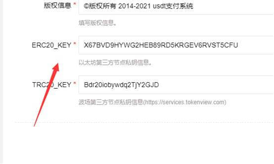 USDT支付系统 自动回调/虚拟币支付/区块链支付/对接钱包自动充值回调