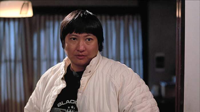 洪金宝电影46部合集中文字幕[MKV/MP4/225.46GB]百度云盘下载