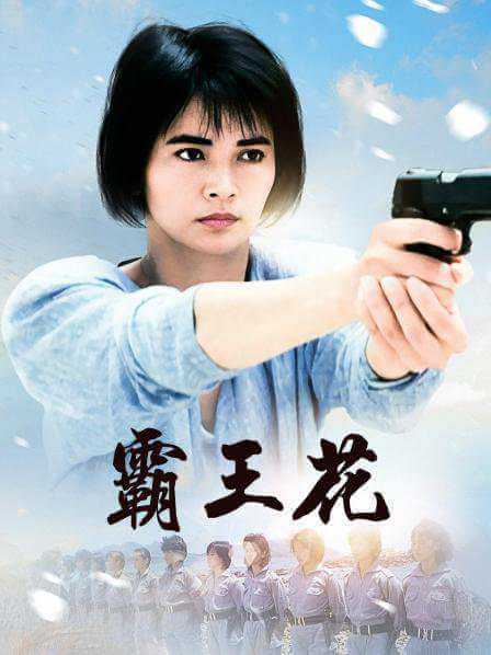 香港电影《霸王花》系列7部合集高清中字[MKV/MP4/12.68GB]百度云盘下载