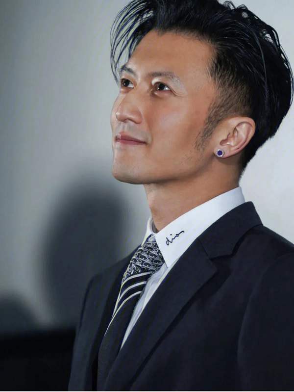 谢霆锋电影24部高清合集【MKV/RMVB/MP4/72.96GB】百度云盘下载