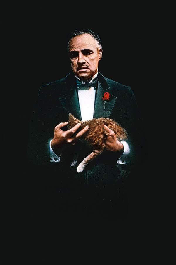 经典黑帮电影《教父》3部高清英语中文字合集【MP4/19.66GB】百度云盘下载