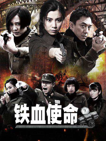 国产剧《铁血使命(2011)》全33集高清国语中字合集百度云盘下载