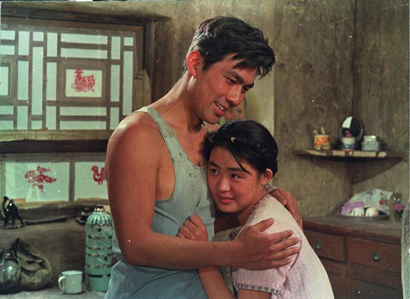 谢晋导演电影《牧马人》高清中文字幕百度云盘下载