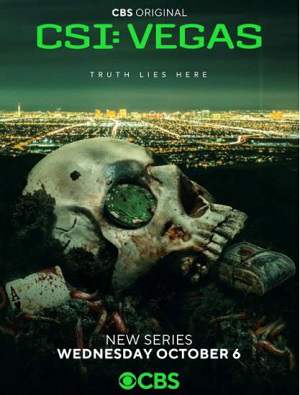 美剧《犯罪现场调查:维加斯/CSI: Vegas》第1季高清1080P英语中字百度云盘下载