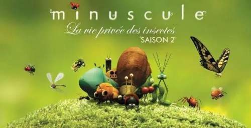 动漫《微观小世界》1-4季高清视频合集百度云盘下载