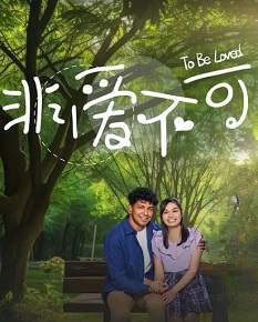 《非爱不可》国语中字 百度网盘/夸克网盘下载