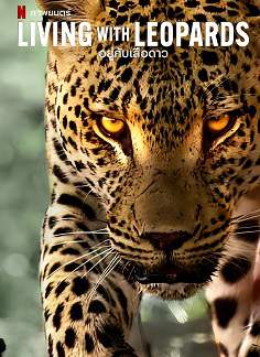 《豹崽同行》英语中字 百度网盘/迅雷云盘/夸克网盘下载