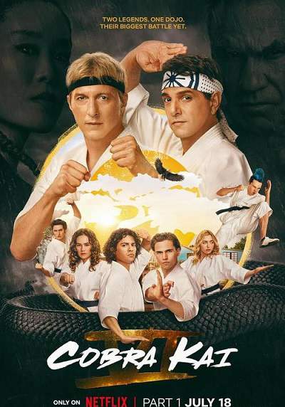 《眼镜蛇 第六季》英语中字 百度网盘/夸克网盘下载