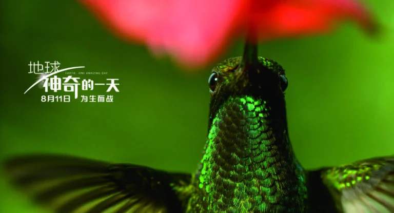 中英合拍纪录片：地球：神奇的一天 Earth: One Amazing Day 4K [HDR][外挂字幕][MKV/22.1GB]百度云盘打包下载