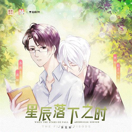 广播剧《星辰落下之时》全集资源音频合集[MP3/841.19MB]百度云下载