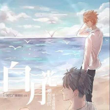 《我心中的白月光》广播剧资源合集MP3音频百度云网盘下载