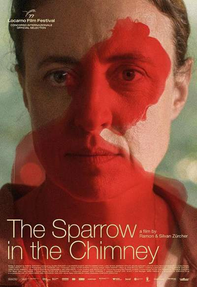 《烟囱里的麻雀 The Sparrow in the Chimney》德语中字 夸克网盘下载