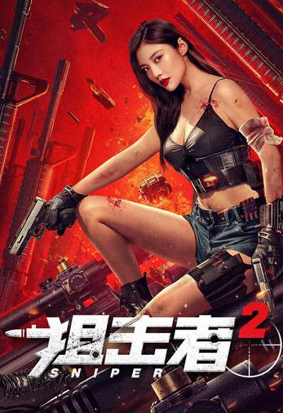《狙击者2》国语中字 百度网盘/夸克网盘下载