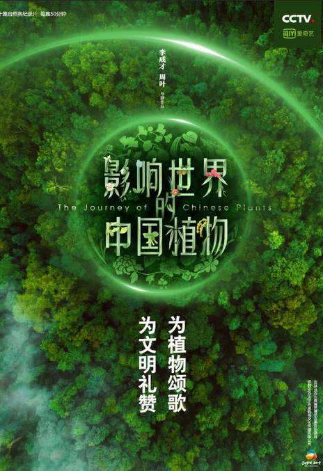 《影响世界的中国植物》国语中字 百度网盘/阿里云盘/夸克网盘下载