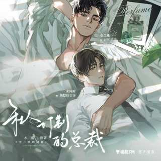 广播剧《私人订制的总裁》资源合集MP3百度云网盘下载