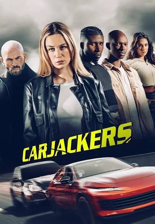 《劫车王》法语中字 百度网盘/夸克网盘下载