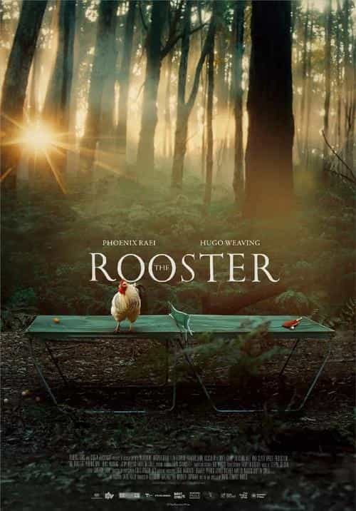 《公鸡》英语中字 百度网盘/阿里云盘/迅雷云盘/夸克网盘下载