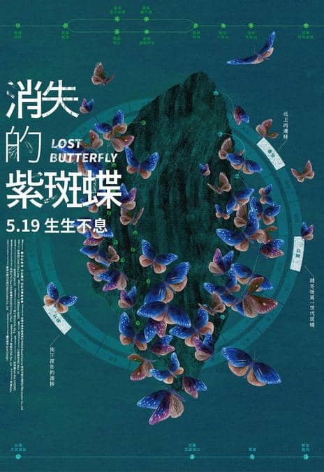 《消失的紫斑蝶》国语中字 百度网盘/夸克网盘下载