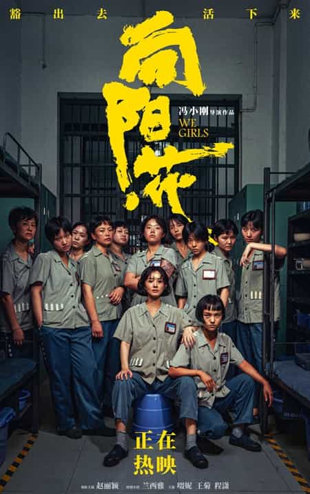 《向阳·花》汉语普通话/中国手语/湖南方言 百度网盘/夸克网盘下载