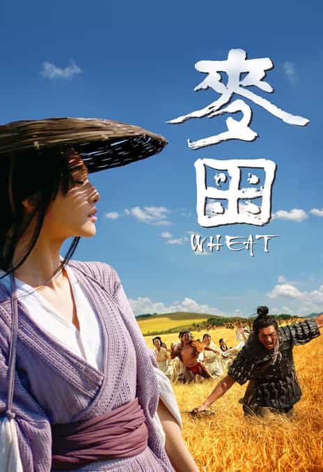 《麦田 / Wheat》汉语普通话 百度网盘下载