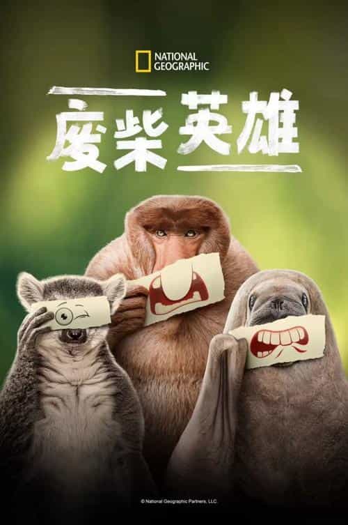 纪录片《失败者》英语 百度网盘/夸克网盘下载