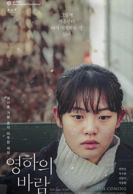 《零下的风 / Sub-zero Wind》韩语 百度网盘下载