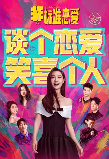 《非标准恋爱》汉语普通话 百度网盘/夸克网盘下载