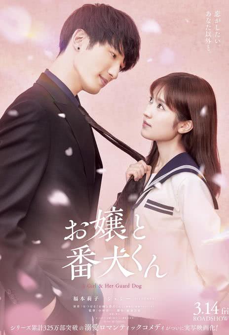 《大小姐和看门犬》日语 百度网盘/夸克网盘下载