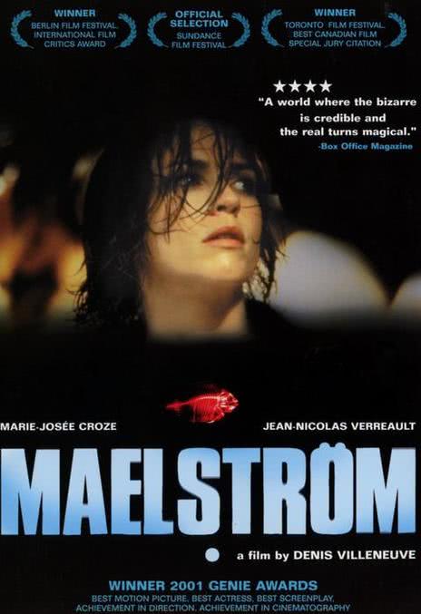 《情迷漩涡》法语/英语/挪威语 百度网盘/夸克网盘下载