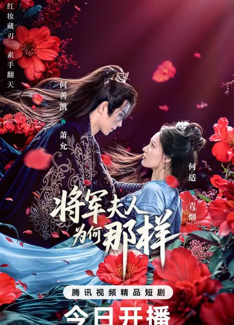 《将军夫人为何那样》汉语普通话 百度网盘/夸克网盘下载