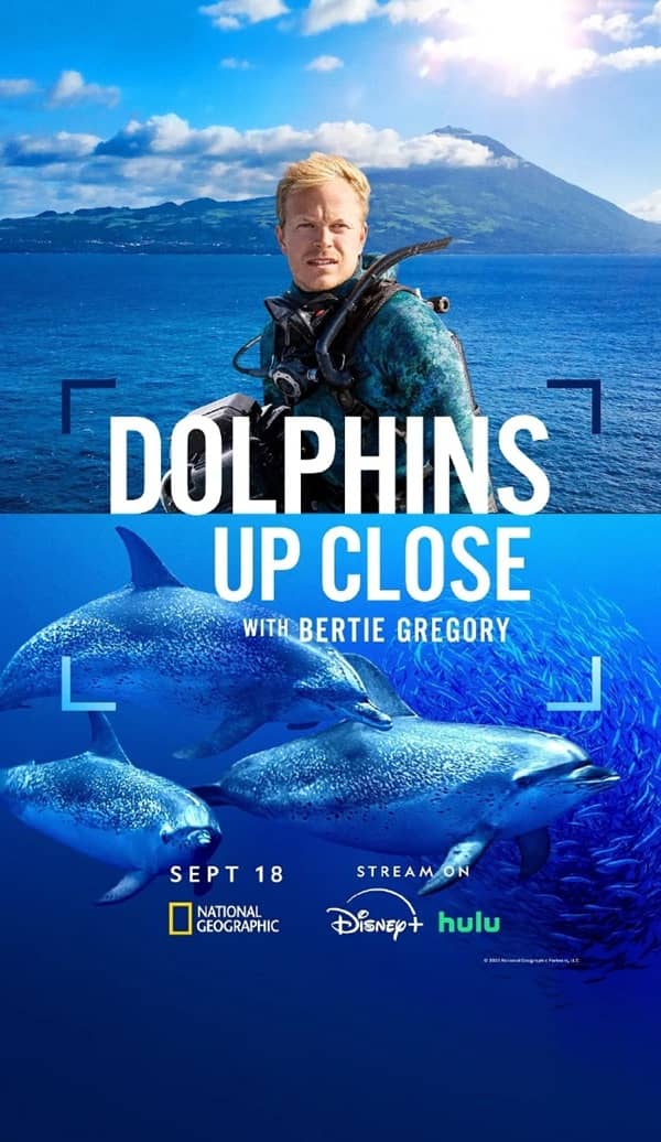 《摄影师贝尔蒂与海豚零距离》英语 百度网盘/夸克网盘下载