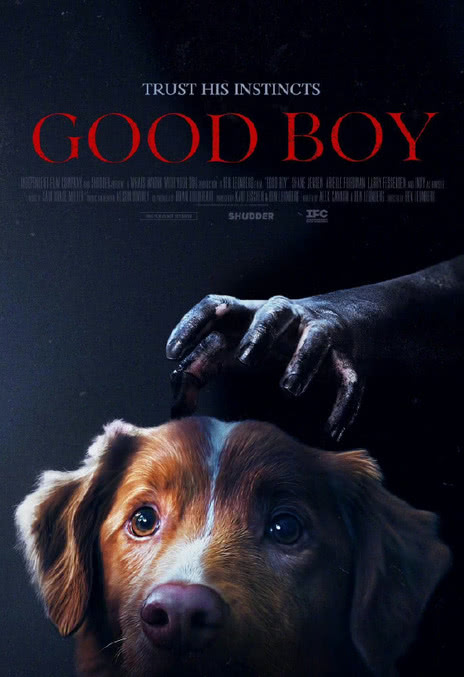 《好狗狗 / 护主好狗 / 好孩子》英语 百度网盘/夸克网盘下载