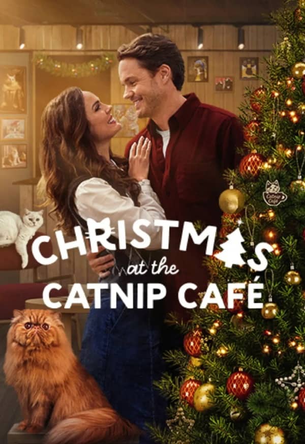 《猫咖圣诞节》英语 百度网盘/夸克网盘下载