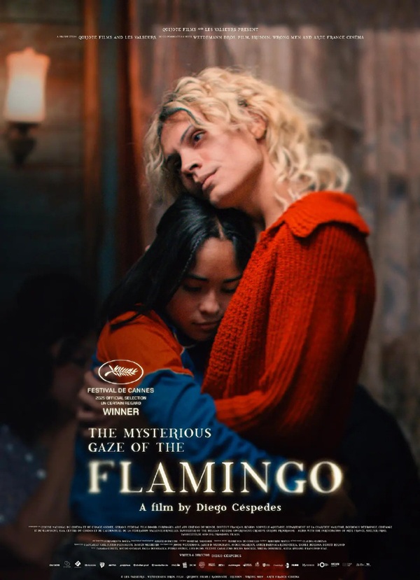 《弗拉明戈的神秘眼神》西班牙语 百度网盘/夸克网盘下载